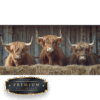 Hooglanders DP Diamond Painting
