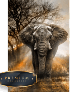 Olifant in Schemer DP Diamond Painting