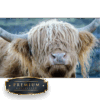 Nieuwsgierige hooglander DP Diamond Painting