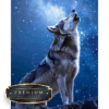 Huilende wolf DP Diamond Painting