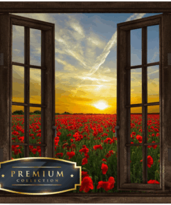 Klaprozen achter het raam DP Diamond Painting