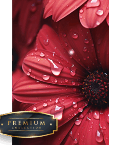 Gerbera DP Diamond Painting