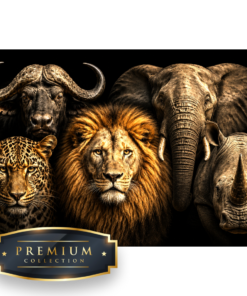 Big Five DP Diamond Painting